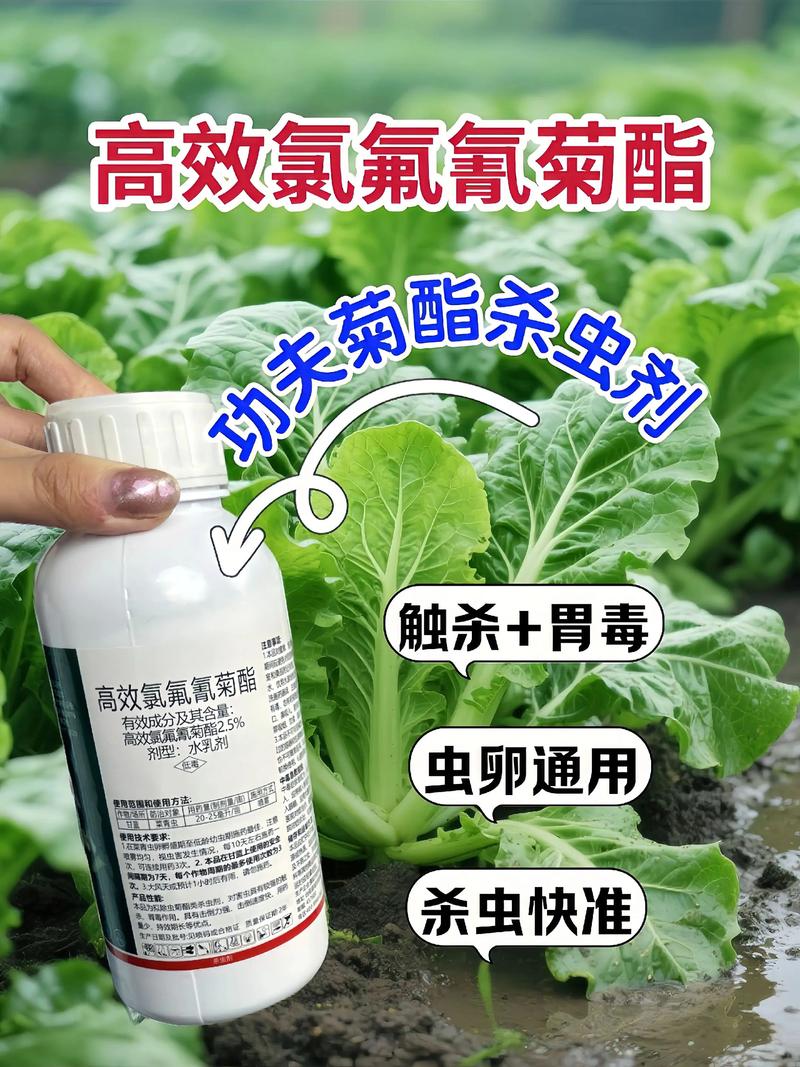 哈密代生中心:农药对供卵代生妈妈的危害